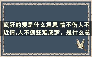 疯狂的爱是什么意思 情不伤人不近情,人不疯狂难成梦，是什么意思